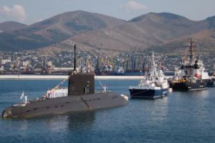 На набережной Новороссийска неизвестные сломали деревья тамарикса