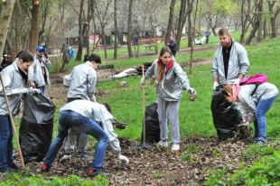 В Краснодаре 14 сентября пройдет общегородской субботник