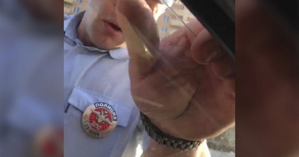 Сотрудники ДПС выбили стёкла в машине адвокату Миргородской из Краснодара