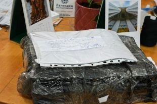 Ситуацию с обыском в «Юг Times» обсудили на конференции в Москве