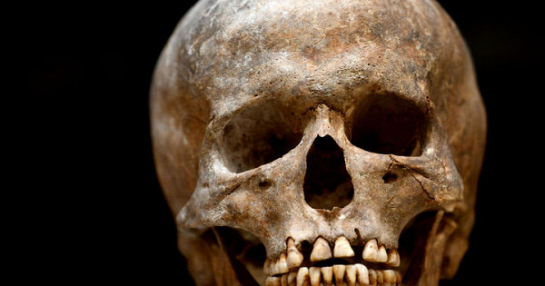 В торговом центре Краснодара задержали мужчину с человеческим черепом в сумке