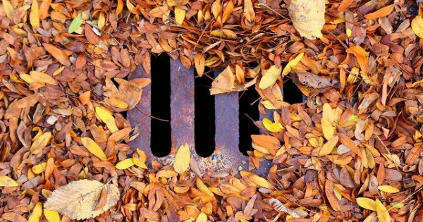 В Краснодаре прочистили более 33 км сетей ливневой канализации