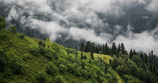 Лесной пожар в горах Сочи ликвидируют пять наземных групп и авиация
