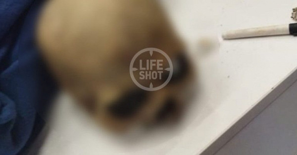 В Краснодаре парень гулял с настоящим черепом в рюкзаке