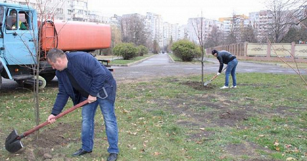 В Краснодаре высадили деревья перед бульваром им. Евскина