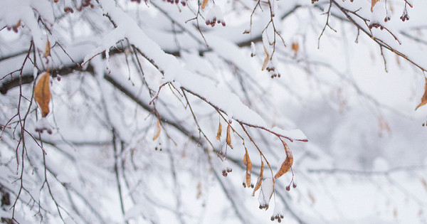 В Сочи объявили экстренное предупреждение из-за снегопада