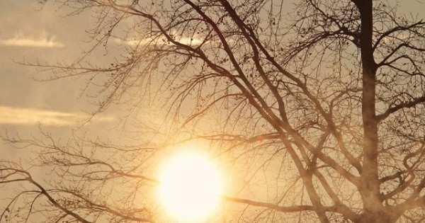 В Краснодарском крае ожидается гололед и туман