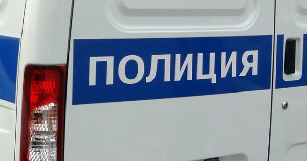 В Краснодарском крае девушка отрубила голову кошке