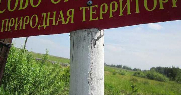 Новая особо охраняемая природная территория создана в Анапе