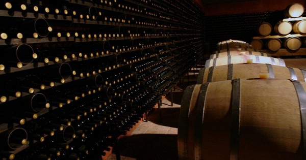 Сын Кобзона строит винзавод под Новороссийском