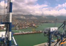 Новороссийск лидирует в крае по уровню зарплаты – рост дал морской порт