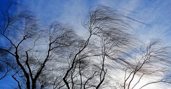 На Кубани объявили экстренное предупреждение о сильном ветре