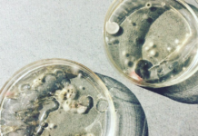 Стоит ли беспокоиться о формальдегиде в косметических продуктах?