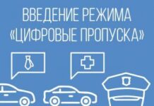 Как получить пропуск в Москве: способы