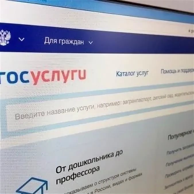 Где получить займ через портал Госуслуги  Новороссийский портал