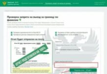 Как можно быстро проверить запрет на выезд за границу из России?