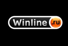 БК Винлайн — почему её выбирают игроки и на что чаще делают ставки?