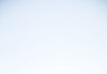 Чай: не только напиток для утоления жажды, но и чудесное природное лекарство.