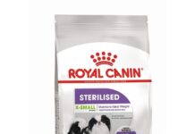 Как выбрать корм ROYAL CANIN для собаки?