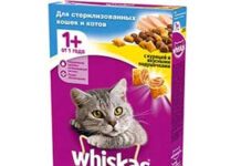 Виды кормов для кошек