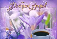 Красивые открытки с добрым утром: больше чем пожелание