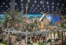 Популярность тематического парка Остров мечты