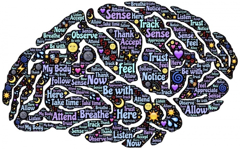 Ученые утверждают, что «забывание» на самом деле является формой обучения, которая помогает нашему мозгу получать важную информацию
