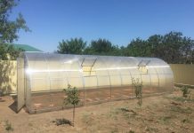 Для чего нужна теплица на участке?