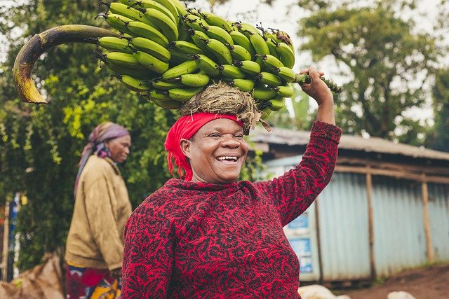 Россия остается без бананов. Фермеры тоннами выбрасывают бананы в Эквадоре. Страна испытывает трудности в поставках бананов из-за санкций