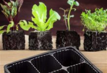 Как выбрать агрокассеты для рассады?