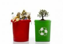 Почему важно вывозить мусор?