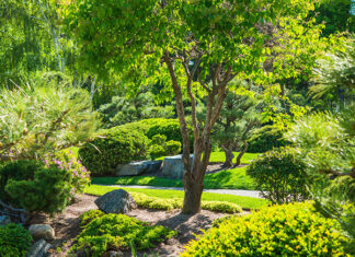 Интересные идеи для освещения сада