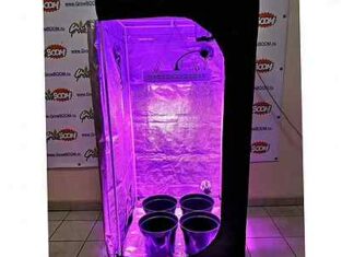 Гроутенты – приобрести недорого в компании Grow Boom