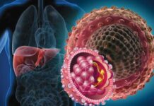 Какие анализы нужно сдавать при лечении гепатита С?