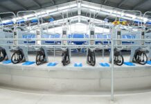 Виды современного оборудования для животноводства