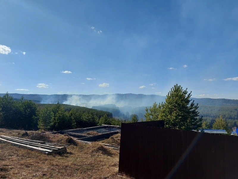 В Челябинской области загорелся лесной массив в районе «Тропы здоровья»
