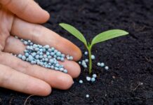 Виды минеральных удобрений