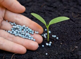 Виды минеральных удобрений