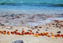 Путешествие по янтарному побережью