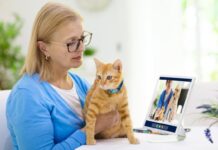 Преимущества онлайн-консультации ветеринара