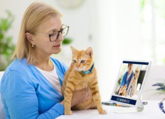 Преимущества онлайн-консультации ветеринара