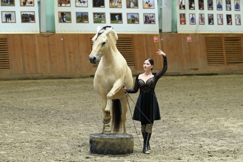 В Челябинской области поддержат развитие конного спорта в КСК «Рифей»
