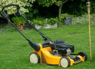 Какую газонокосилку выбрать для дачи?