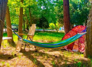 Анапа- кемпинг Ёжик