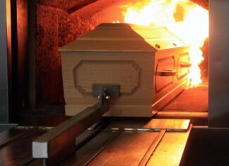 Зачем кремировать кошку