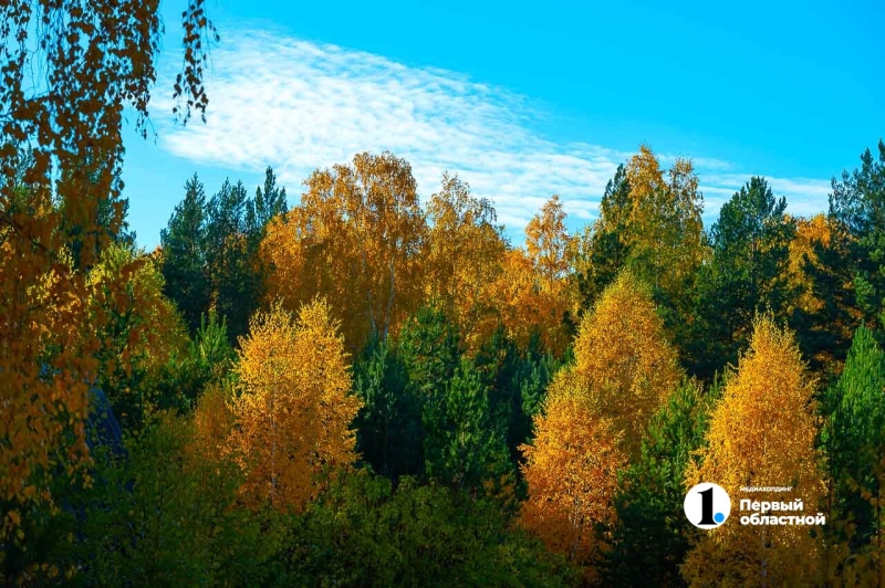 Теплая осень в снимках челябинского фотографа Андрея Ткаченко