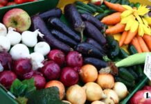 В Челябинске на «Агро» представили продуктовое изобилие региона