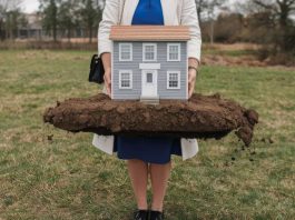 Аренда земли: могут ли отобрать участок из-за ошибки чиновников?