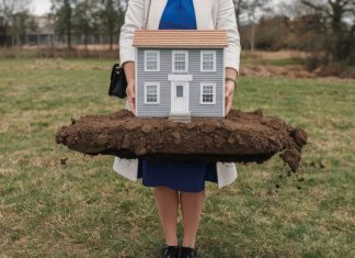 Аренда земли: могут ли отобрать участок из-за ошибки чиновников?