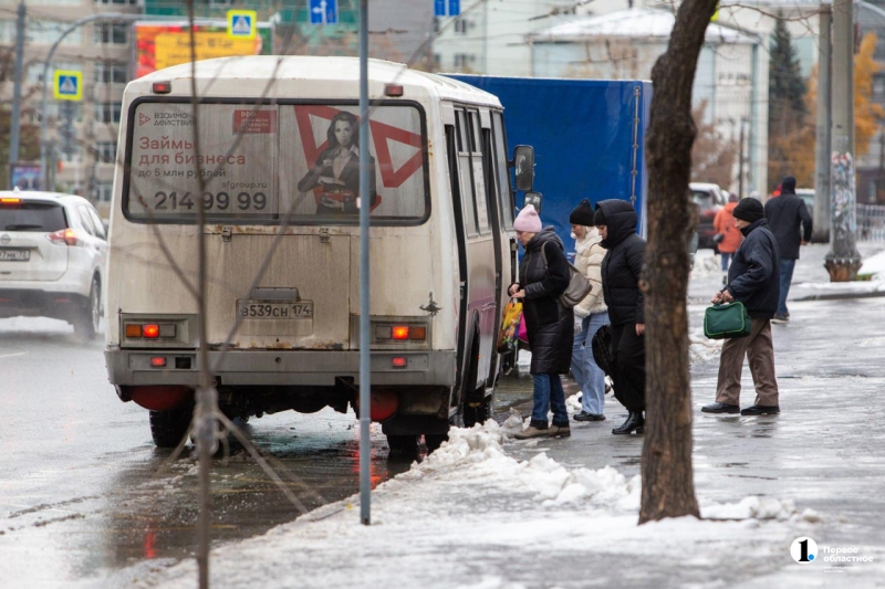 В Челябинске выпал первый снег